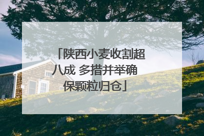 陕西小麦收割超八成 多措并举确保颗粒归仓