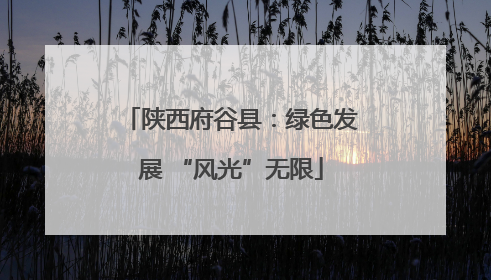 陕西府谷县：绿色发展 “风光”无限