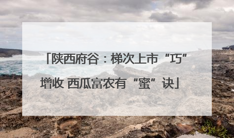 陕西府谷：梯次上市“巧”增收 西瓜富农有“蜜”诀
