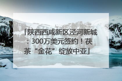 陕西西咸新区泾河新城：300万美元签约！茯茶“金花”绽放中亚