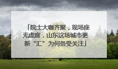 院士大咖齐聚，现场座无虚席，山东这场城市更新“汇”为何备受关注