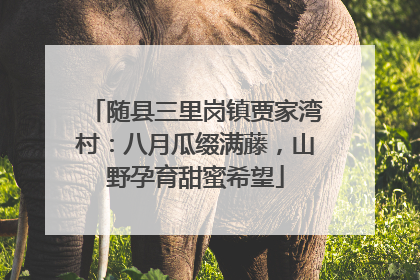 随县三里岗镇贾家湾村：八月瓜缀满藤，山野孕育甜蜜希望