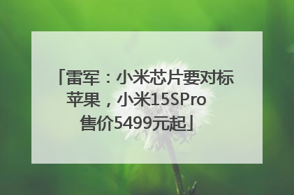 雷军：小米芯片要对标苹果，小米15SPro售价5499元起