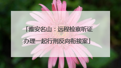 雅安名山：远程检察听证 办理一起行刑反向衔接案