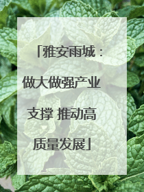 雅安雨城：做大做强产业支撑 推动高质量发展