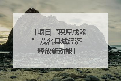 项目“积厚成器” 茂名县域经济释放新动能