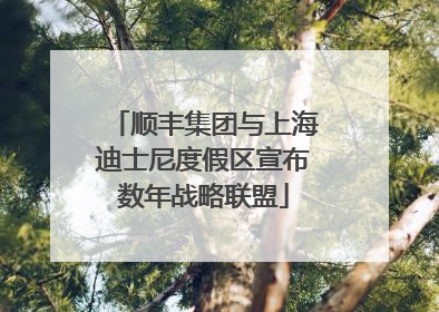 顺丰集团与上海迪士尼度假区宣布数年战略联盟