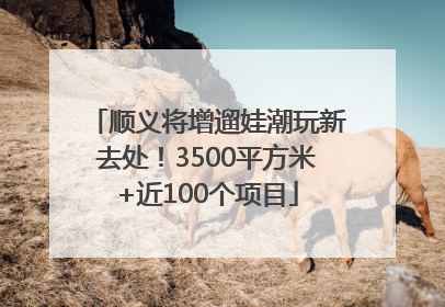 顺义将增遛娃潮玩新去处！3500平方米+近100个项目
