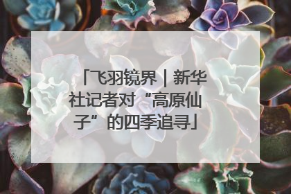 飞羽镜界｜新华社记者对“高原仙子”的四季追寻