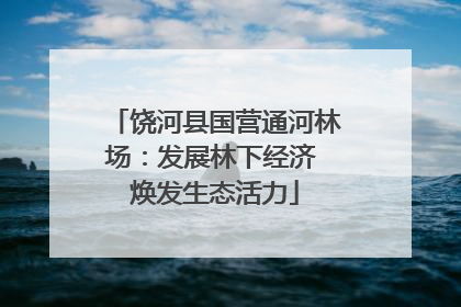 饶河县国营通河林场：发展林下经济 焕发生态活力