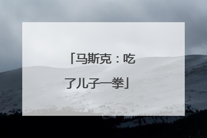 马斯克：吃了儿子一拳
