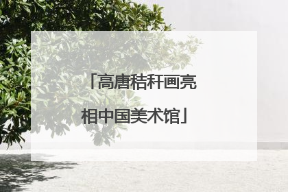 高唐秸秆画亮相中国美术馆