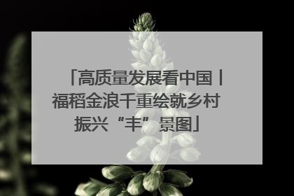 高质量发展看中国丨福稻金浪千重绘就乡村振兴“丰”景图