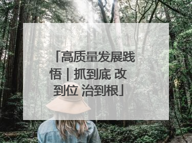 高质量发展践悟｜抓到底 改到位 治到根