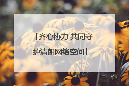 齐心协力 共同守护清朗网络空间