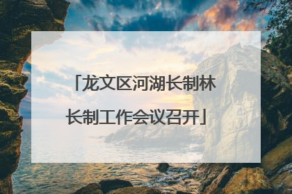 龙文区河湖长制林长制工作会议召开