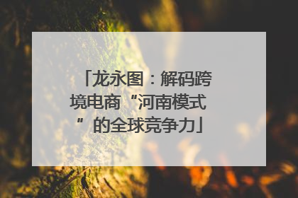 龙永图：解码跨境电商“河南模式”的全球竞争力