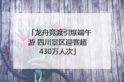 龙舟竞渡引爆端午游 四川景区迎客超430万人次