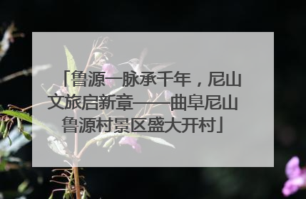 鲁源一脉承千年，尼山文旅启新章——曲阜尼山鲁源村景区盛大开村