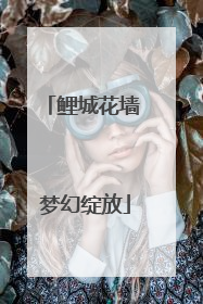 鲤城花墙 梦幻绽放