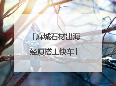 麻城石材出海 经厦搭上快车