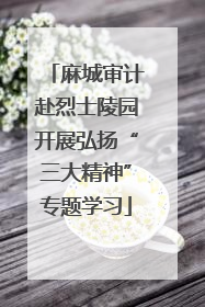 麻城审计赴烈士陵园开展弘扬“三大精神”专题学习
