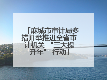 麻城市审计局多措并举推进全省审计机关 “三大提升年” 行动