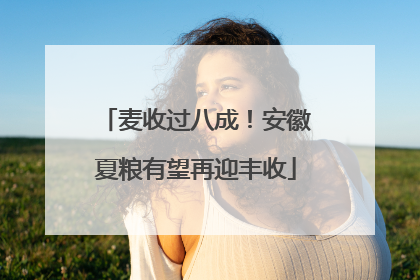 麦收过八成！安徽夏粮有望再迎丰收