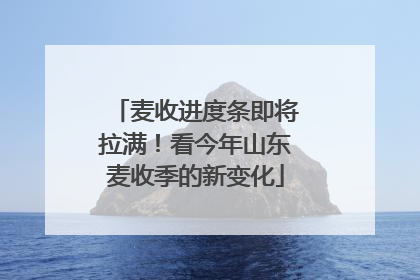 麦收进度条即将拉满！看今年山东麦收季的新变化