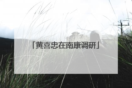 黄喜忠在南康调研