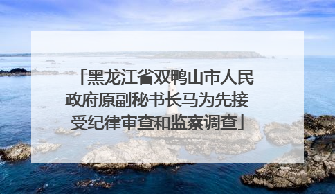 黑龙江省双鸭山市人民政府原副秘书长马为先接受纪律审查和监察调查
