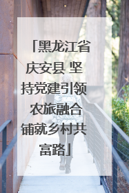 黑龙江省庆安县 坚持党建引领 农旅融合铺就乡村共富路