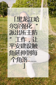 黑龙江哈尔滨强化“派出所主防”工作，让平安建设触角延伸到每个角落……