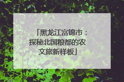 黑龙江富锦市：探秘北国粮都的农文旅新样板
