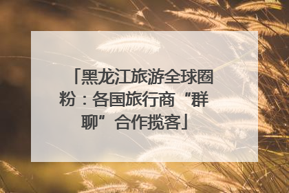 黑龙江旅游全球圈粉：各国旅行商“群聊”合作揽客