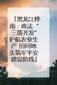 黑龙江桦南：政法“三箭齐发”护航农业生产 田间地头筑牢平安建设防线