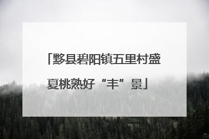黟县碧阳镇五里村盛夏桃熟好“丰”景