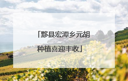 黟县宏潭乡元胡种植喜迎丰收