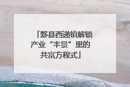 黟县西递镇解锁产业“丰景”里的共富方程式