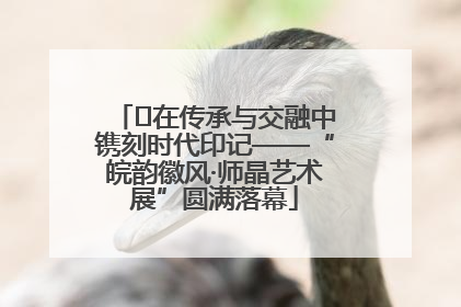 ﻿在传承与交融中镌刻时代印记——“皖韵徽风·师晶艺术展”圆满落幕
