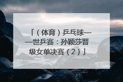 （体育）乒乓球——世乒赛：孙颖莎晋级女单决赛（2）