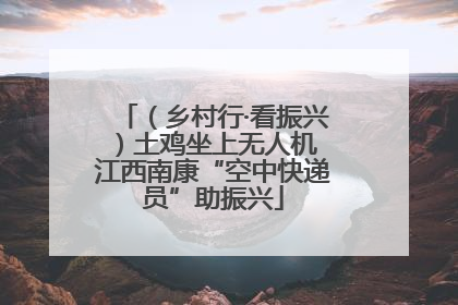 （乡村行·看振兴）土鸡坐上无人机 江西南康“空中快递员”助振兴