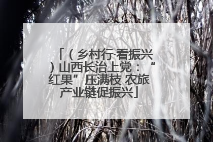 （乡村行·看振兴）山西长治上党：“红果”压满枝 农旅产业链促振兴
