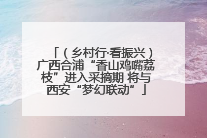 （乡村行·看振兴）广西合浦“香山鸡嘴荔枝”进入采摘期 将与西安“梦幻联动”