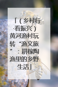 （乡村行·看振兴）黄河渔村玩转“渔文旅”：耕稼陶渔里的乡野生活