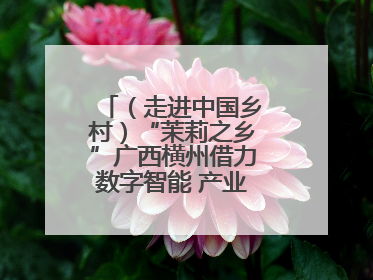 （走进中国乡村）“茉莉之乡”广西横州借力数字智能 产业升级香飘海外
