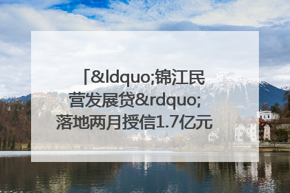 “锦江民营发展贷”落地两月授信1.7亿元，惠及118家民企