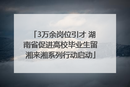 3万余岗位引才 湖南省促进高校毕业生留湘来湘系列行动启动