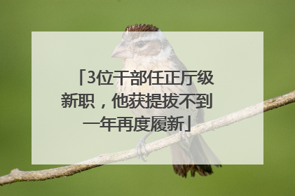 3位干部任正厅级新职，他获提拔不到一年再度履新