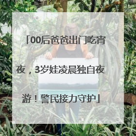 00后爸爸出门吃宵夜，3岁娃凌晨独自夜游！警民接力守护